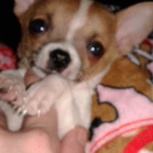 Meet your Posher, Tammy